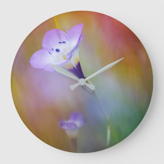 Grande Horloge Ronde Phare de Old Point Loma| Monument à Cabrillo (Recto)