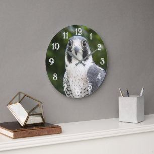 Grande Horloge Ronde Photo de Faucon Pèlerin Oiseau de Proie