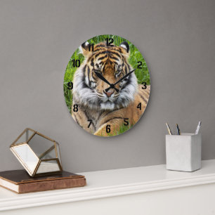 Grande Horloge Ronde Photo de faune de tigre de Sumatra