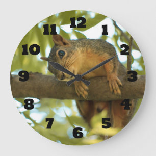 Grande Horloge Ronde Photo nature d'écureuil mignonne et curieuse