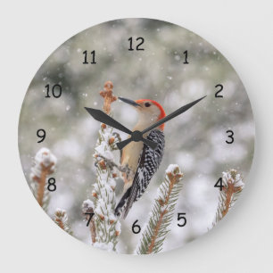 Grande Horloge Ronde Pic à ventre rouge dans la neige