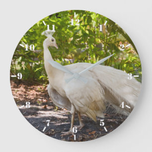 Grande Horloge Ronde Pic blanc paon