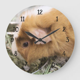 Grande Horloge Ronde Piggy