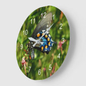 Grande Horloge Ronde Pipevine Swallowtail (Angle)