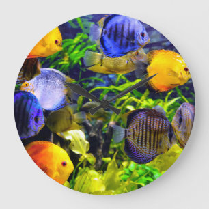 Grande Horloge Ronde Poisson de mer tropical aquatique coloré vibrant