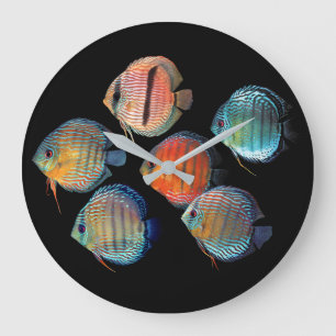 Grande Horloge Ronde Poisson sauvage Discus