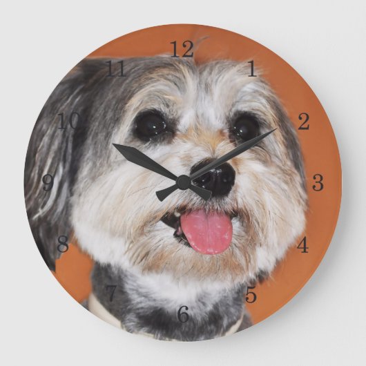 Grande Horloge Ronde Portrait de chien Havanais (Recto)