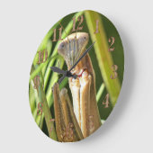 Grande Horloge Ronde Prier Mantis (Angle)