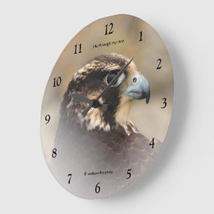 Grande Horloge Ronde Profil vignetté d'un faucon pèlerin