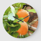 GRANDE HORLOGE RONDE PRUNES (Recto)