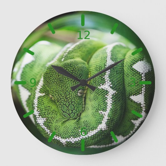 Grande Horloge Ronde Python (Recto)