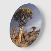 Grande Horloge Ronde Quiver Trees (Angle)