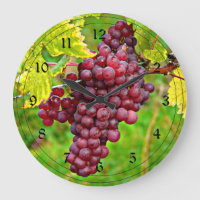 Raisins rouges sur vigne
