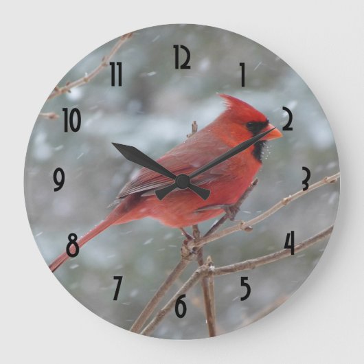 Grande Horloge Ronde Red cardinal en hiver (Recto)