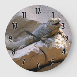 Grande Horloge Ronde Rhino Iguana