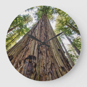 Grande Horloge Ronde Roosevelt Grove