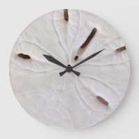 Sable Dollar Coastal White Grey Trendy Cool