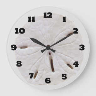 Grande Horloge Ronde Sable Dollar Plage Coquillages Plage Naturelle ten