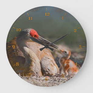 Grande Horloge Ronde Sandhill grues contact oeil de son bébé