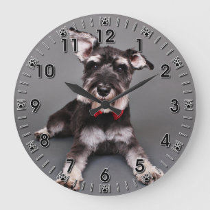 Grande Horloge Ronde Schnauzer - Tom Dooley