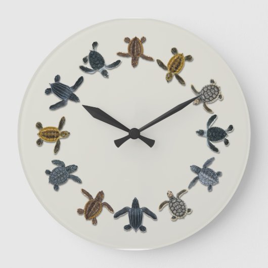 Grande Horloge Ronde Sea Turtle Hatchling (Recto)