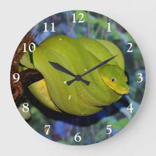 Grande Horloge Ronde Serpent de Boa d'Emerald Tree