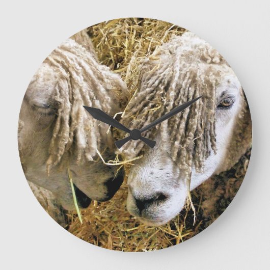 GRANDE HORLOGE RONDE SHEEP (Recto)