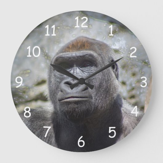 Grande Horloge Ronde Silverback (Recto)