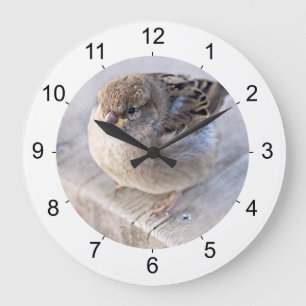 Grande Horloge Ronde Sparrow