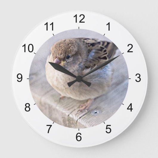 Grande Horloge Ronde Sparrow (Recto)