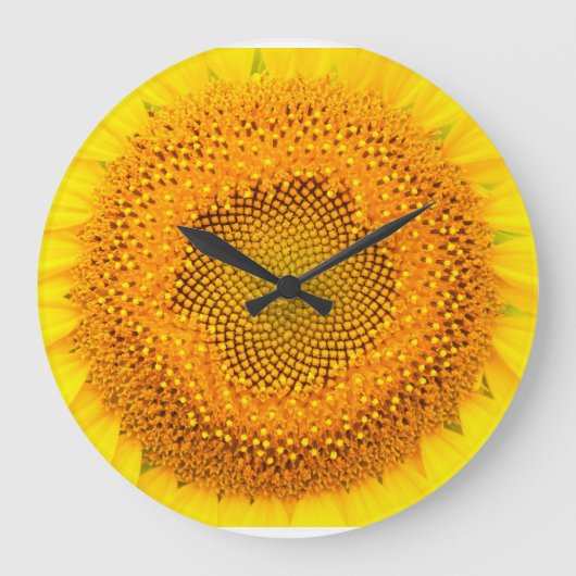 Grande Horloge Ronde Sunflower Round (Recto)