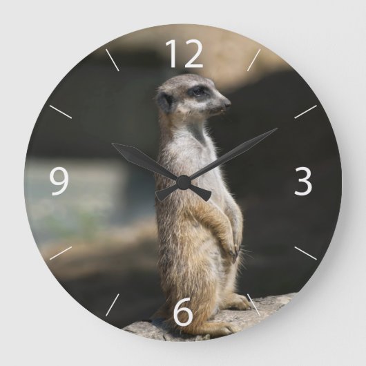 Grande Horloge Ronde Suricate (Recto)