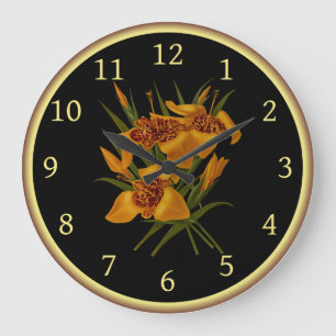 Grande Horloge Ronde Tigridia Conchiplora Var Canariensis 008 ~