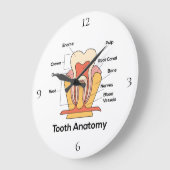 Grande Horloge Ronde Tooth Anatomy (Angle)