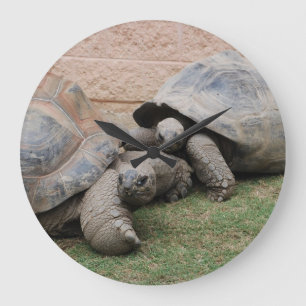 Grande Horloge Ronde tortues géantes