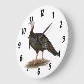 Grande Horloge Ronde Turkey:  Eastern Wild Tom (Angle)