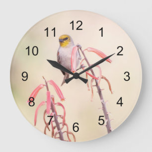 Grande Horloge Ronde Verdin perché sur le pénis