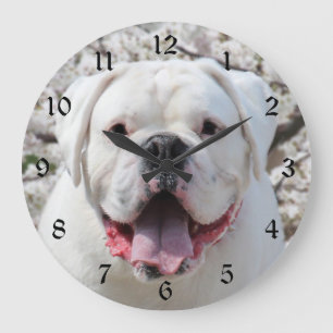Grande Horloge Ronde Visage blanc de bouledogue