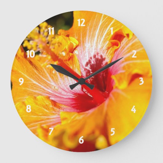 Grande Horloge Ronde Vue latérale de l'Hibiscus orange (Recto)