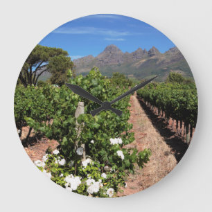 Grande Horloge Ronde Vue Sur Les Vignobles. Stellenbosch