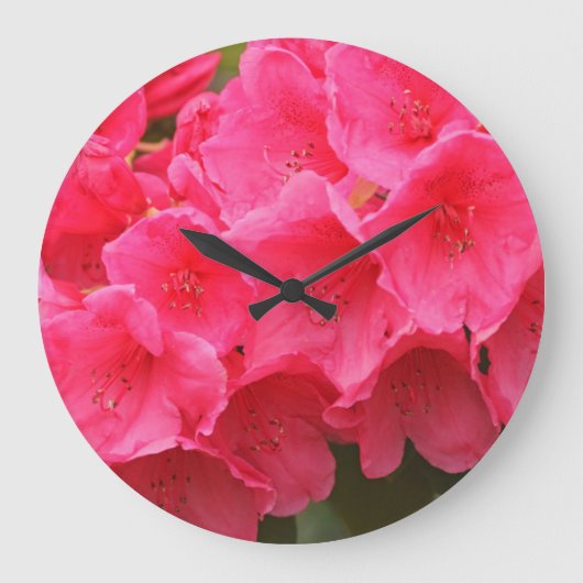 Grande Horloge Ronde Washington, Seattle, Puget Sound, Discovery Park (Recto)