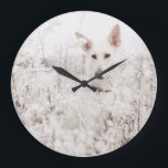 Grande Horloge Ronde White German Shepherd in the Snow<br><div class="desc">This beautiful photograph of a german shepherd dog is by Drake Photographe and feclause a pretty older puppy sitting in tall grass during while snow quoi qui tombe tout aroet it large snowflakes. This classy canine photo would make a great venft for dog and animal lovers.</div>