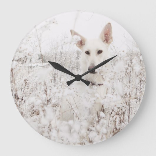 Grande Horloge Ronde White German Shepherd in the Snow (Recto)