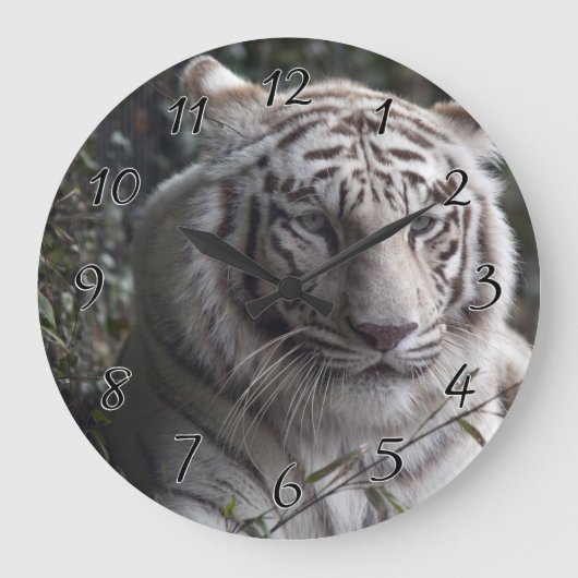 Grande Horloge Ronde White Tiger Close (Recto)