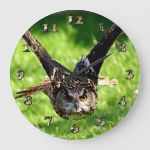Grande Horloge Ronde Wild Eagle Owl in Full Flight