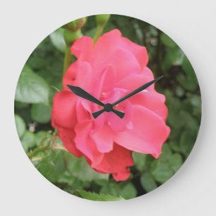 Grande Horloge Ronde Wild Rose Wall