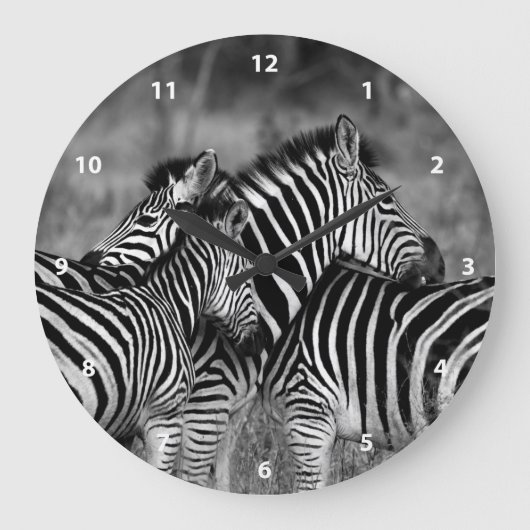 Grande Horloge Ronde Zebra Family (Recto)