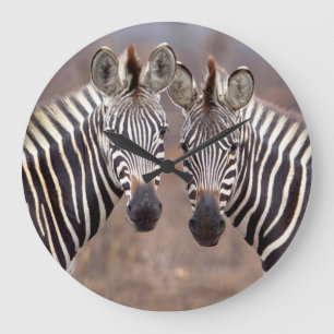 Grande Horloge Ronde Zèbres simples, parc national de Kruger