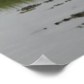 Grande impression d'aigle blanche (Coin)