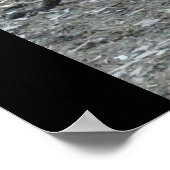 Grande impression rouge Kangaroo (Coin)